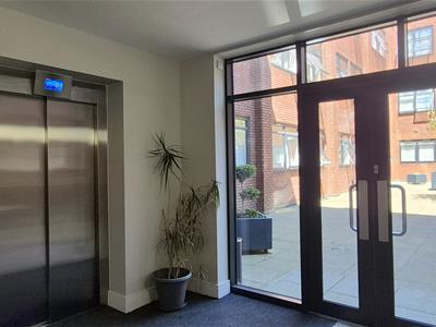 Picture 8